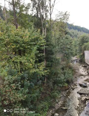 Кам'Янка Yaremche